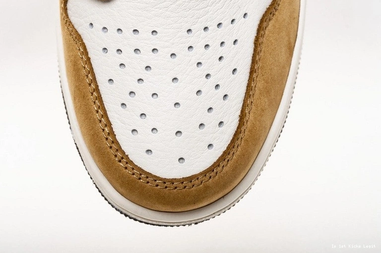 the 555088-700 Year of 1 Air Jordan Rookie 0929